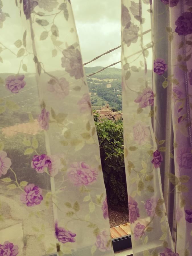 B&B La Rondinella Montecerboli Luaran gambar